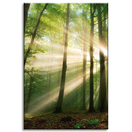Canvas Print Sun in the Forest Trees Nature 60x90 cm