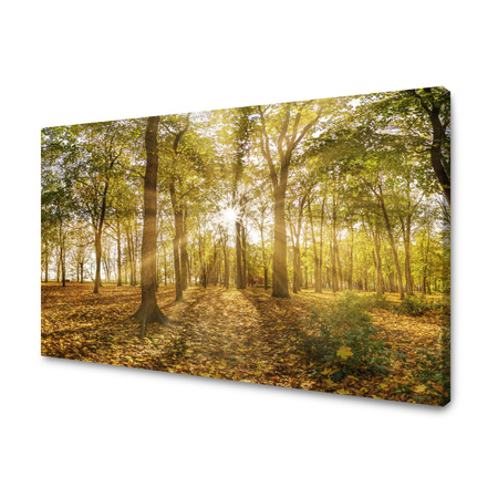 Canvas Print Sun Between Trees in the Forest 120x80 cm