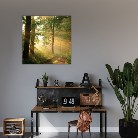 Canvas Print Sunlight Forest Path Nature 50X50 cm