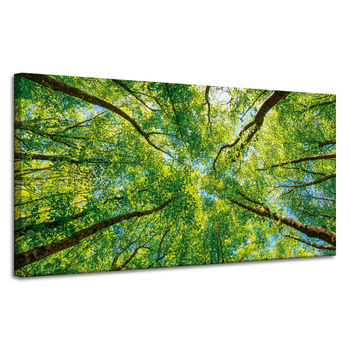 Canvas Print Trees Leaves Nature Forest Spring 120x60 cm