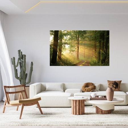 Canvas Print Sunlight Forest Path Nature 60x40 cm