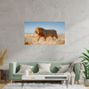 Canvas Print Walking Lion on Savannah Grass 120x60 cm