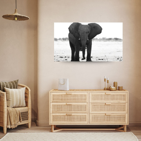 Canvas Print Gray Elephant Nature Black and White 100x80 cm