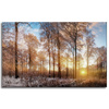 Canvas Print Trees Winter Rising Sun 80x50 cm
