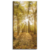 Canvas Print Sun Between Trees in the Forest 60x120 cm