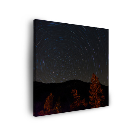 Canvas Print Nature Forest Night Mountains Abstract Trees 90x90
