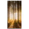 Canvas Print Sun in the Forest Light Tree 40x80 cm