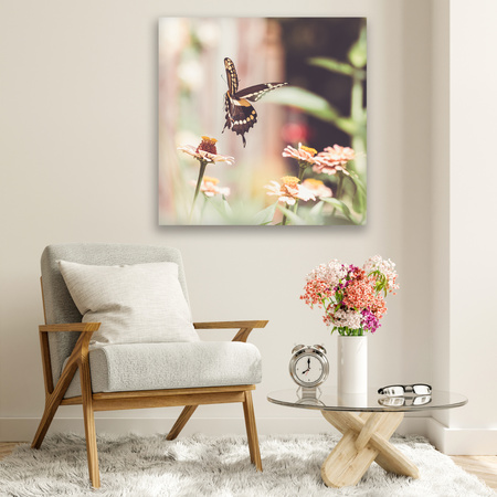 Canvas Print Nature Insect Butterfly Flowers Spring Summer 90x90