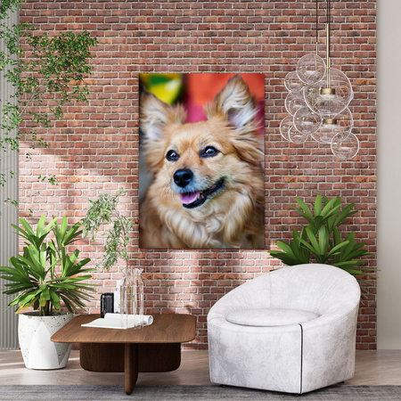 Canvas Print Animals Dog 30x40 cm