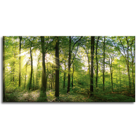 Canvas Print Sun Forest Trees Rays of Light 120x60 cm