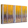 Canvas Print Birch Trees Autumn Yellow Leaves 80x50 cm
