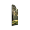 Canvas Print Forest Trees Sun Nature 40x120 cm