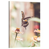 Canvas Print Nature Insect Butterfly Flowers Spring Summer 80x120
