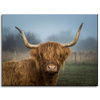 Canvas Print Animals Cow 40x30 cm