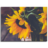 Canvas Print Botany Sunflowers 40x30 cm