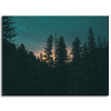 Canvas Print Nature Forest at Dusk 40x30 cm