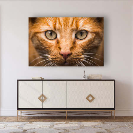 Canvas Print Cat Face Close Up 90x60