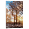 Canvas Print Trees Winter Rising Sun 50x80 cm