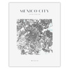 Poster Map of Mexico City square 40X50 cm + gold frame