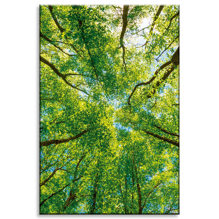 Canvas Print Trees Leaves Nature Forest Spring 80x120 cm