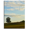 Canvas Print Nature Tree in Field 30x40 cm