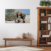 Canvas Print Large Gray Elephant Nature Rocks Sun 100x80 cm