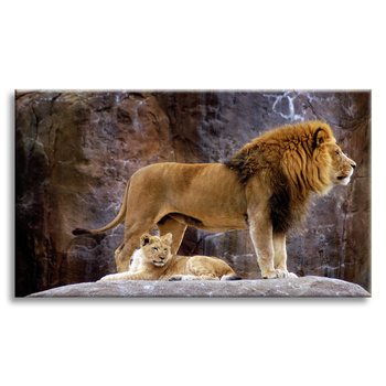Canvas Print Pair of Lions on Rock Mountains Nature 100x80 cm