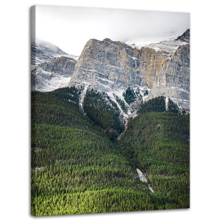 Canvas Print Nature Mountain View 30x40 cm