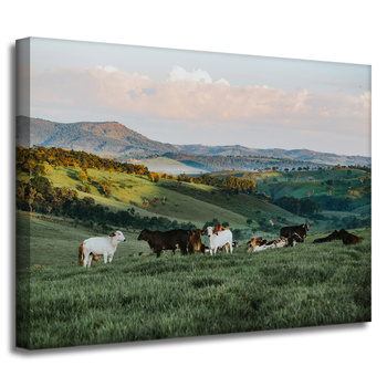 Canvas Print Nature Pasture_2 40x30 cm