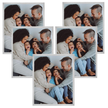 5x Silver Frame 21x29.7, I L13.15.039 Plexi