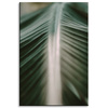 Canvas Print Nature Palm Leaf 80x120