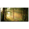 Canvas Print Sunlight Forest Path Nature 80x40 cm