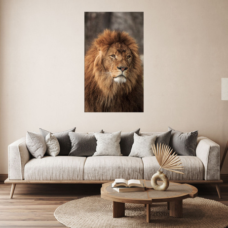 Canvas Print Gazing Lion Nature Face Wilderness 80x120 cm