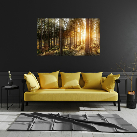 Canvas Print Birch Trees Sun Morning 120x60 cm
