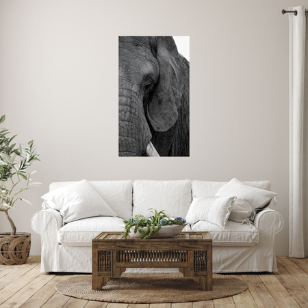 Canvas Print Gray Elephant Face Eye Animal 80x120 cm