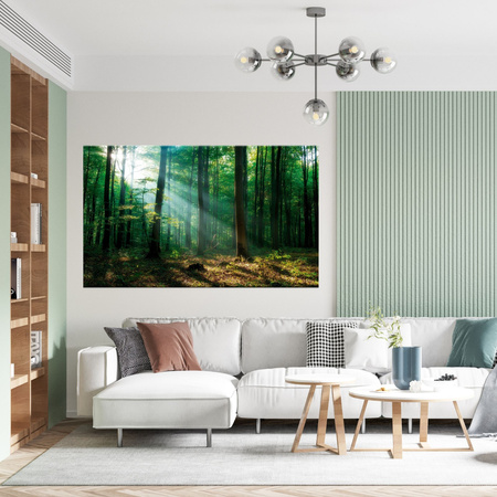 Canvas Print Forest Trees Sun Rays 120x80 cm