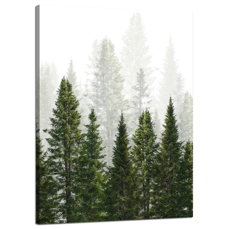 Canvas Print Rain Forest Nature Trees 50x70 cm