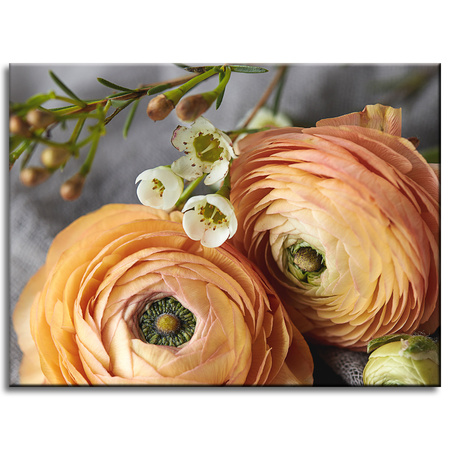 Canvas Print Botany Flowers 40x30 cm