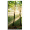 Canvas Print Sun in the Forest Trees Nature 40x80 cm