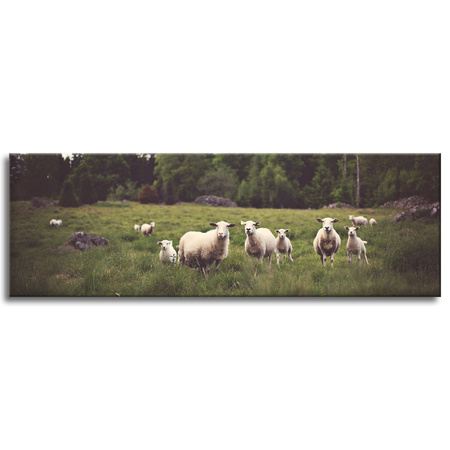Canvas Print Nature Sheep on Pasture 120x40