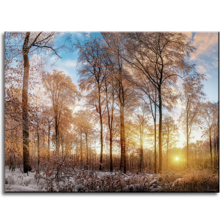 Canvas Print Trees Winter Rising Sun 40x30 cm