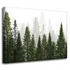 Canvas Print Rain Forest Nature Trees 40x30 cm
