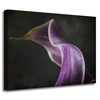 Canvas Print Botany Flower Purple Petal 40x30 cm