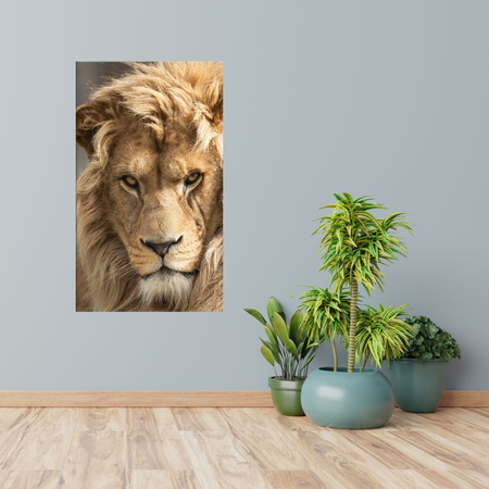 Canvas Print Terrible Beautiful Lion Brightness Animal 80x120 cm