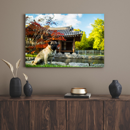 Canvas Print Animals Dog_2 80x40 cm