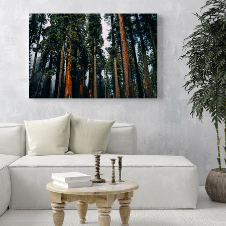Canvas Print Nature Forest 40x30 cm
