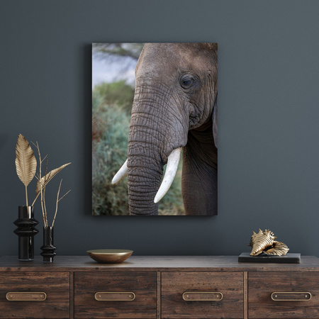 Canvas Print Animals Elephant 30x40 cm