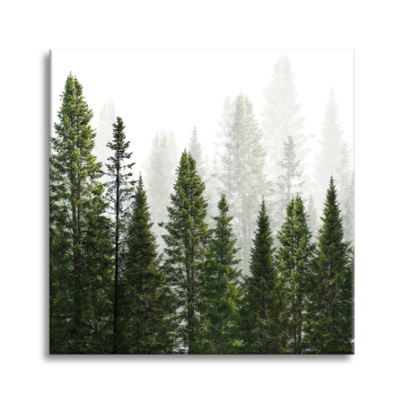 Canvas Print Rain Forest Nature Trees 60X60 cm