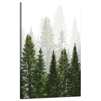 Canvas Print Rain Forest Nature Trees 50x80 cm