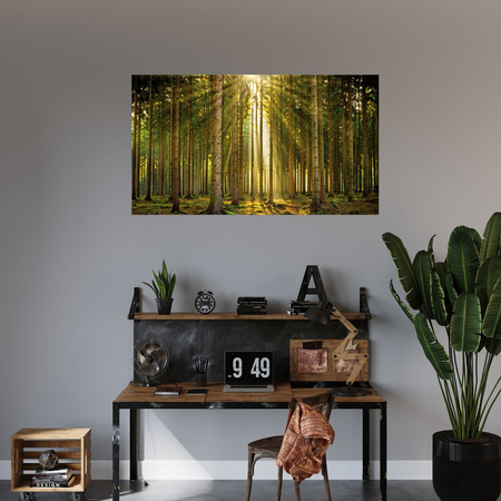 Canvas Print Forest Trees Sun Nature Spring 120x80 cm